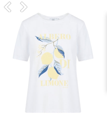 CCH1183 Lemon Tee