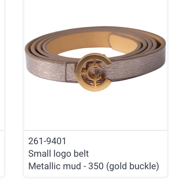 261 9401 Metalic Mud or Silver Belt