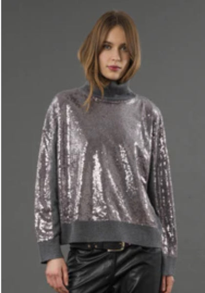 Hailey Sequin Sweater