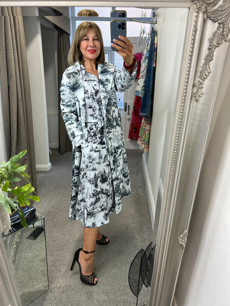 26112 Toile Circle Dress