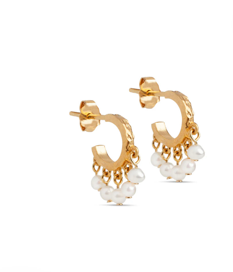 E309 Astrid Earring